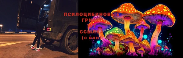 мет Абаза